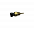 C4954905